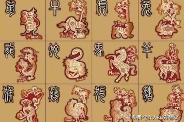 2018年木命人喜爱什么生肖?探寻最佳生肖搭配与运势影响! 2018年木命人喜爱什么生肖?探寻最佳生肖搭配与运势影响!