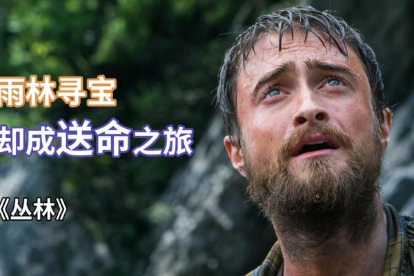 2011年属兔人:善良与智慧交织的命运之旅 2011年属兔人:善良与智慧交织的命运之旅