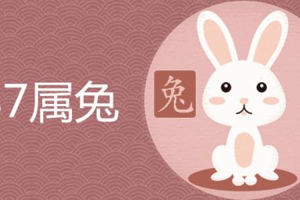 2011年属兔人:善良与智慧交织的命运之旅 2011年属兔人:善良与智慧交织的命运之旅