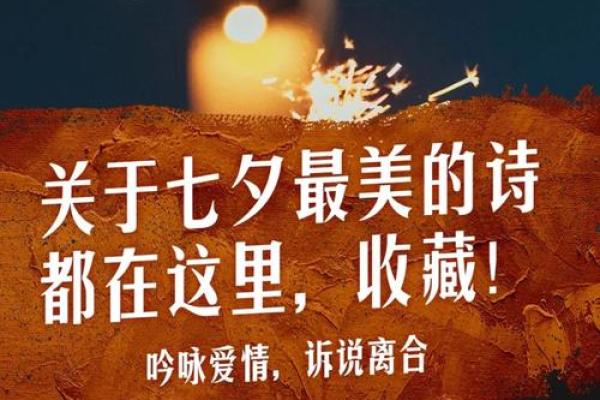 爱到深处,以命换命的真意与深情探讨 爱到深处,以命换命的真意与深情探讨