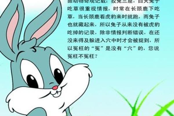 探讨99属兔命理:火命与土命的奥秘与缺失 探讨99属兔命理:火命与土命的奥秘与缺失