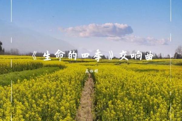 命以命换,生命的交响曲:探索日本映画中的牺牲与救赎 命以命换,生命的交响曲:探索日本映画中的牺牲与救赎