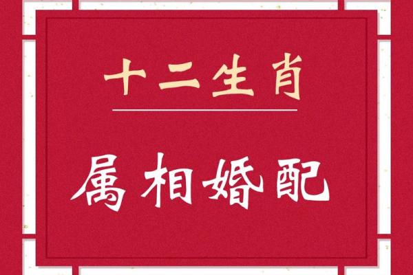 婚姻中的命与属相:如何选择最适合的另一半? 婚姻中的命与属相:如何选择最适合的另一半?