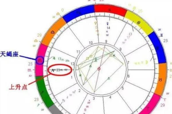 解析命理数字9:独特命格与人生命运的奥秘 解析命理数字9:独特命格与人生命运的奥秘