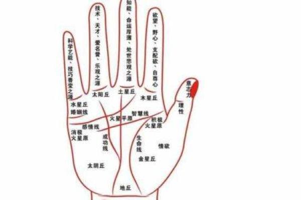 根据出生月份探秘命运,揭示人生方向与性格特征! 根据出生月份探秘命运,揭示人生方向与性格特征!