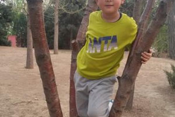 解读童子命:探索命运与心灵的神秘使命 解读童子命:探索命运与心灵的神秘使命