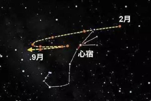 10周胎儿命理解析:影响人生的星宿和出生特征 10周胎儿命理解析:影响人生的星宿和出生特征