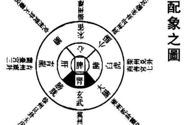 1985年午时出生的人命运解析:探索五行与属相的奥秘 1985年午时出生的人命运解析:探索五行与属相的奥秘