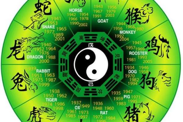 53年属什么命?揭秘1953年出生者的命理与个性特征! 53年属什么命?揭秘1953年出生者的命理与个性特征!