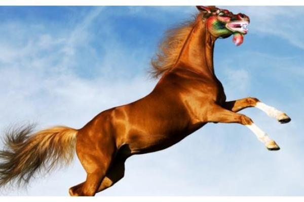 属马人2014年运势解析:机遇与挑战并存的年度旅程 属马人2014年运势解析:机遇与挑战并存的年度旅程