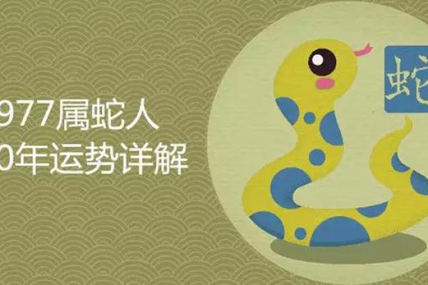 90年出生的人:金命与幸福人生的奥秘 90年出生的人:金命与幸福人生的奥秘