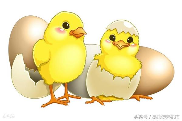 探索2017年属鸡小孩的命运与性格特征 探索2017年属鸡小孩的命运与性格特征