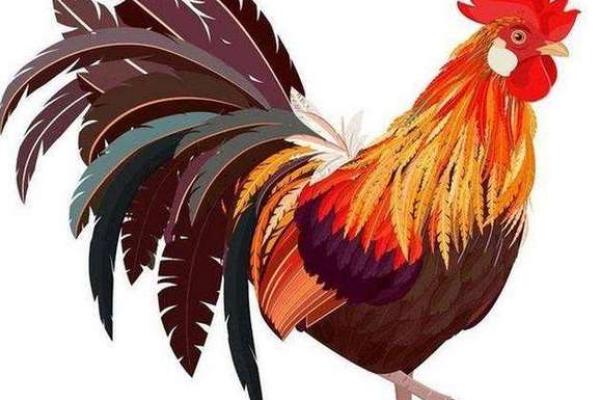 探索2017年属鸡小孩的命运与性格特征 探索2017年属鸡小孩的命运与性格特征