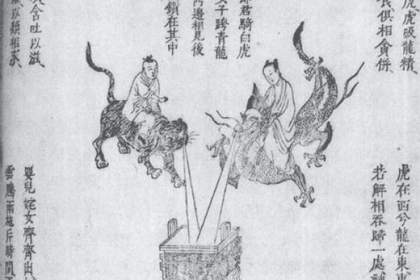 什么是龙虎相斗:命运中的力量与智慧之战 什么是龙虎相斗:命运中的力量与智慧之战