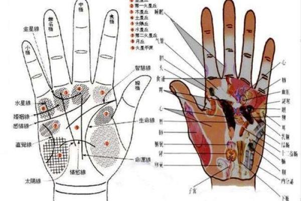 鸡年戌时出生的命理解析:揭开命运的神秘面纱 鸡年戌时出生的命理解析:揭开命运的神秘面纱