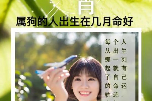 1994年出生的男性命运解析:揭示属狗男性的性格与运势 1994年出生的男性命运解析:揭示属狗男性的性格与运势