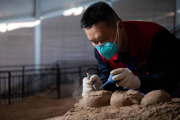 什么命是最好的人物?探索命理与成功的奥秘 什么命是最好的人物?探索命理与成功的奥秘