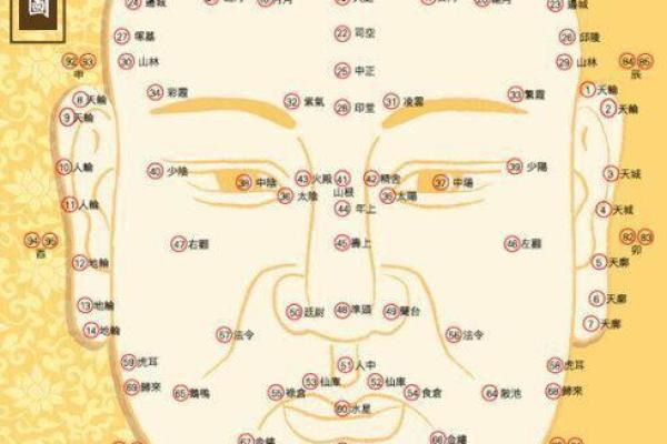 丙子鼠的命格解析:火鼠生辰的特点与运势揭秘 丙子鼠的命格解析:火鼠生辰的特点与运势揭秘