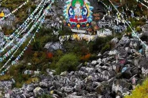 978年是什么命?揭秘这一年背后的命理奇迹与文化故事 978年是什么命?揭秘这一年背后的命理奇迹与文化故事