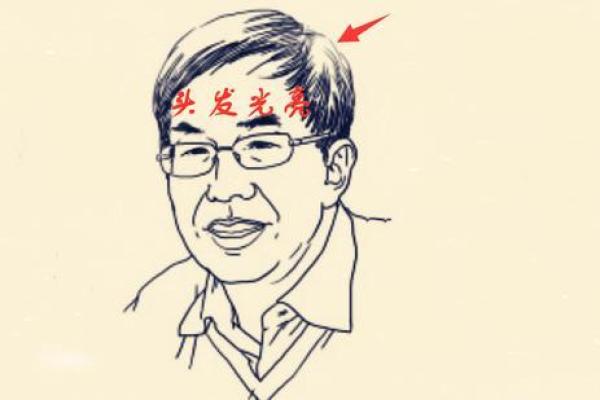 细发的命运:你知道你的头发暗示了什么吗? 细发的命运:你知道你的头发暗示了什么吗?