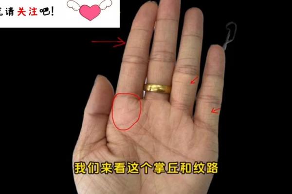 揭秘富贵命:看手相中的财富指引与人生潜能 揭秘富贵命:看手相中的财富指引与人生潜能