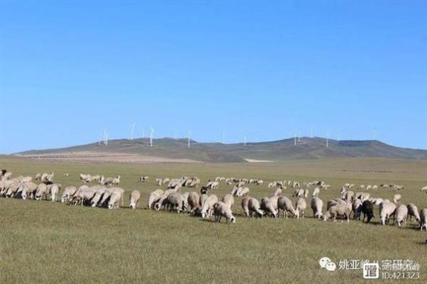 命中有羊刃,暗藏的力量与启示 命中有羊刃,暗藏的力量与启示