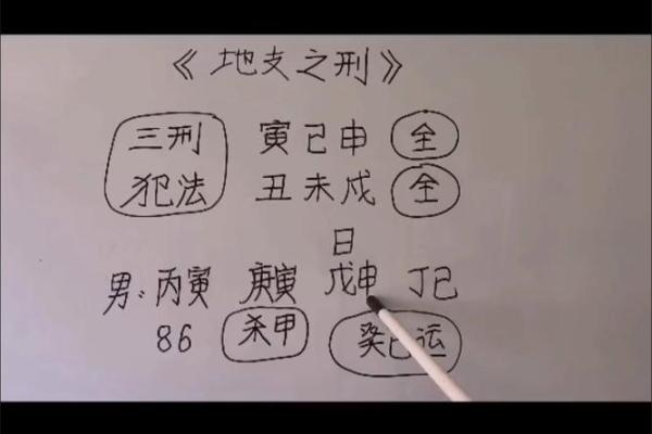 探秘地支三不刑女命,揭开命格的神秘面纱 探秘地支三不刑女命,揭开命格的神秘面纱