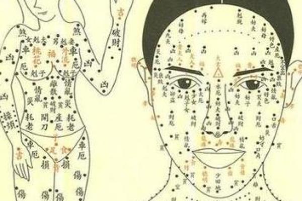 你知道吗?这些八字命会被称为麒麟命,解密麒麟命的特征和运势! 你知道吗?这些八字命会被称为麒麟命,解密麒麟命的特征和运势!