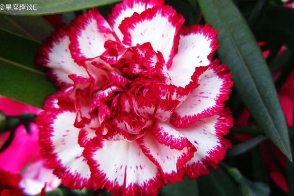 金命人士的佩戴秘诀:让你运势旺盛、魅力四射! 金命人士的佩戴秘诀:让你运势旺盛、魅力四射!