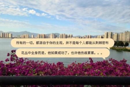82年与94年出生的人命运对比：人生旅途的启示与反思