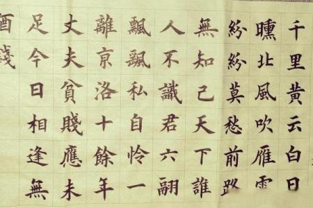 失之我命得之我命：人生中的得失与执念的哲学思考