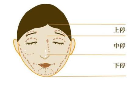 面相分析：揭示那些拥有少奶奶命的女性特征