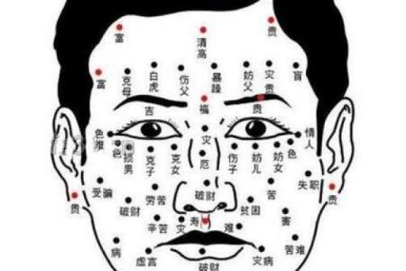 根据出生月份探秘命运，揭示人生方向与性格特征！