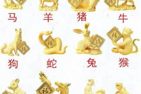 属狗的八字命理解析：如何发挥属相优势，迎接好运与成功！