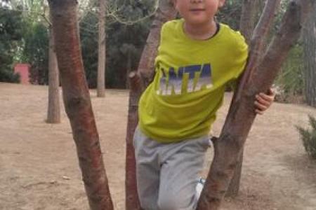 解读童子命：探索命运与心灵的神秘使命