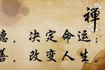 揭秘命运的秘密：为何有些人命中注定无子嗣？