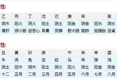 如何通过命理了解自己的命运与人生方向
