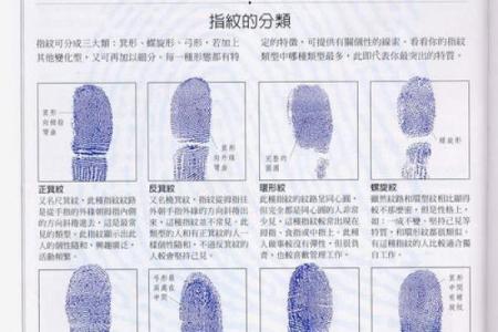 探索辛酉乙巳丁丑命理之美，解读命运与人生的奥秘