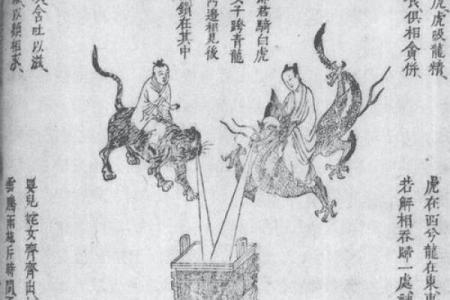 什么是龙虎相斗：命运中的力量与智慧之战