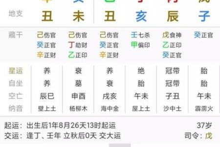 揭秘2018年腊月属狗命运：吉凶与运势解析！