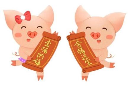 2019年属猪人的命运解析：幸福与挑战并存的年度旅程