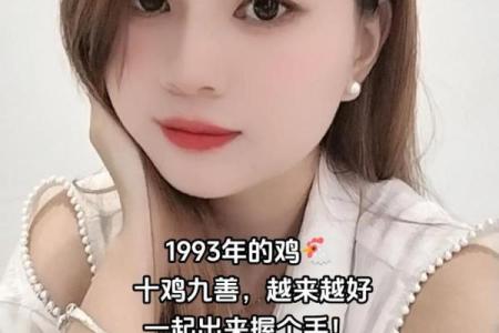 93属鸡11月命理解析：理解人生的阳光与阴影