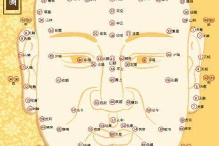 丙子鼠的命格解析：火鼠生辰的特点与运势揭秘