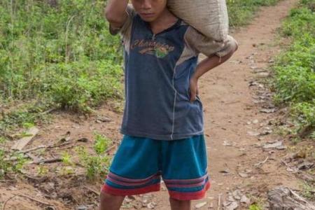 大山里的男孩：命运与希望的交织之旅