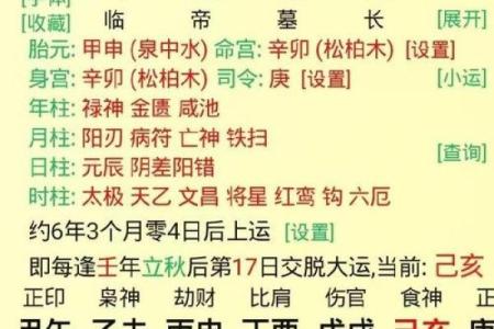 癸巳女命：2023年的命格解析与人生启示