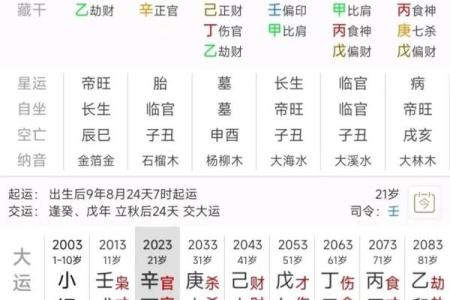 甲木女命与最合适男命的完美搭配探讨