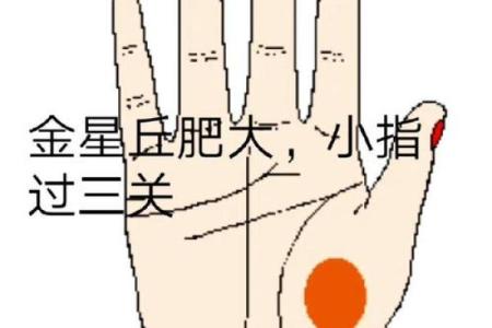 命理学中的太阳球：探索自我与命运的连接