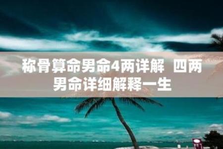 96年出生的男人命运分析：探索其五行命理与人生道路