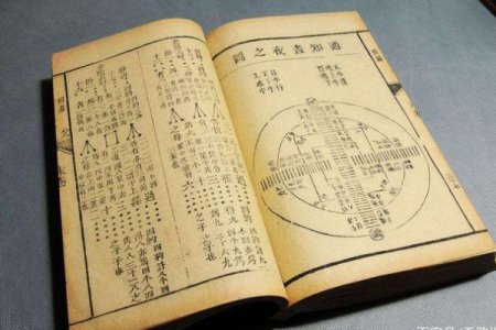 大林木命戌时之人需补什么，探讨命理与生活的智慧