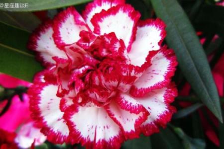 金命人士的佩戴秘诀：让你运势旺盛、魅力四射！